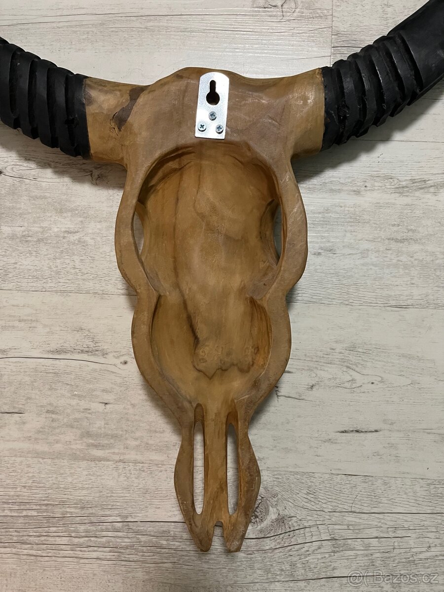 Týková bůvolí hlava - 3