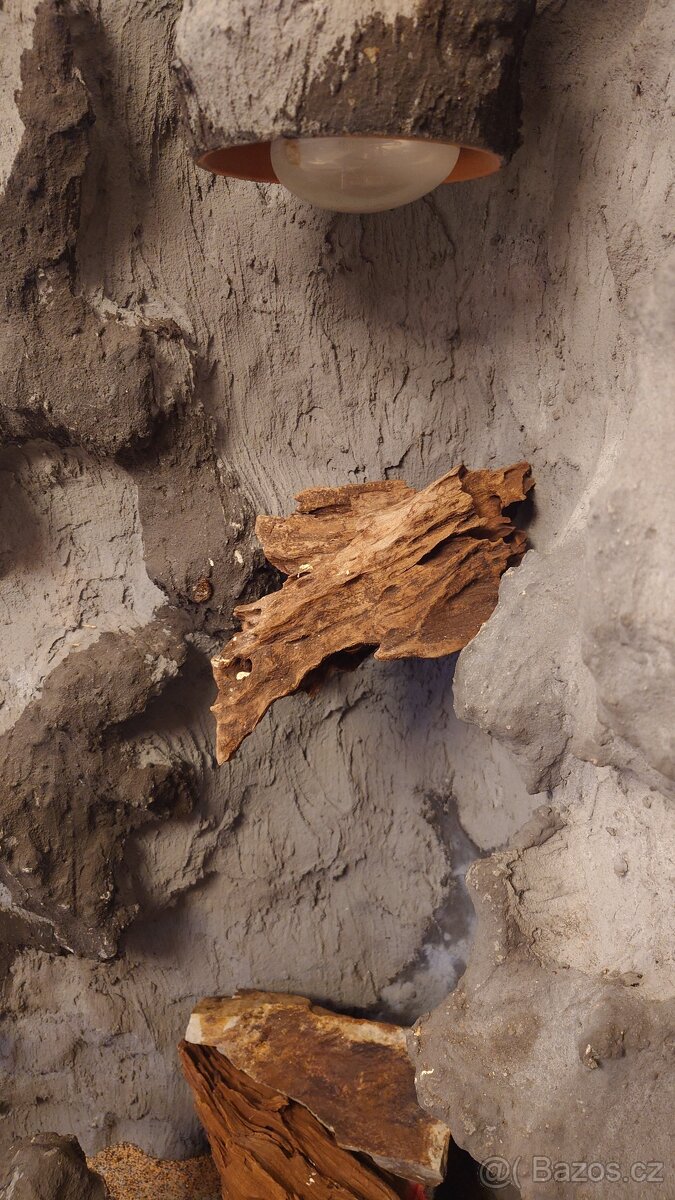 Terárium - chameleon - 3