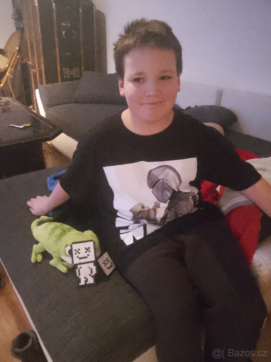 Chameleon jemenský - 3