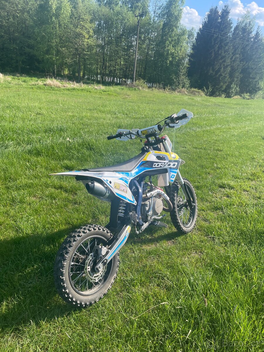 Pitbike Dorado DT125