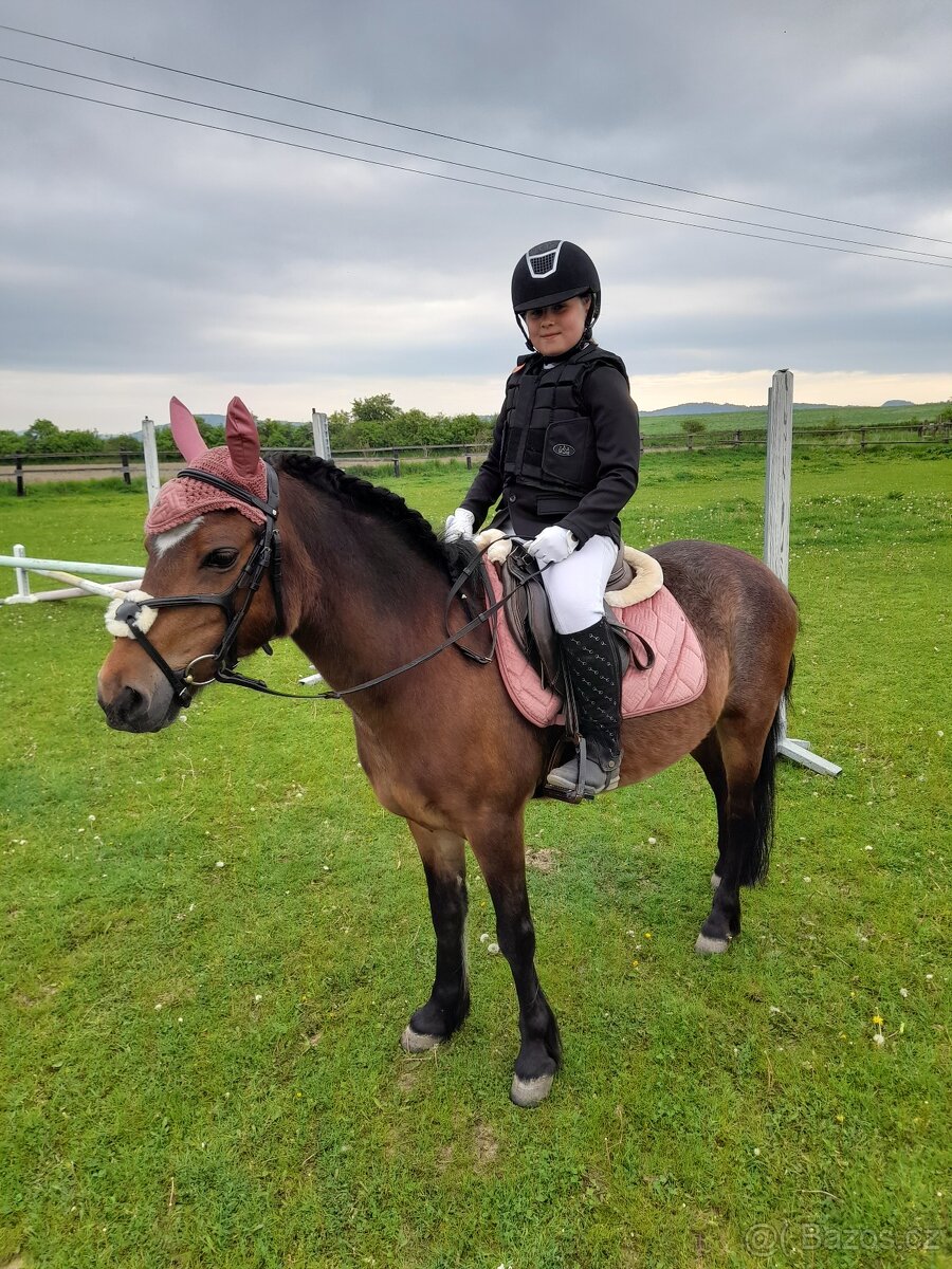 Pony klisna - 3
