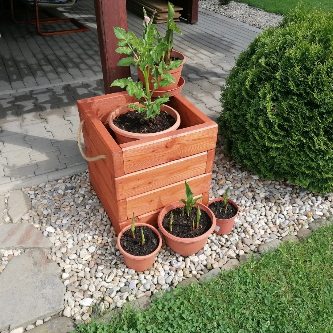10%-SLEVA Modřínový masivní vyvýšený záhon-květináč - 3