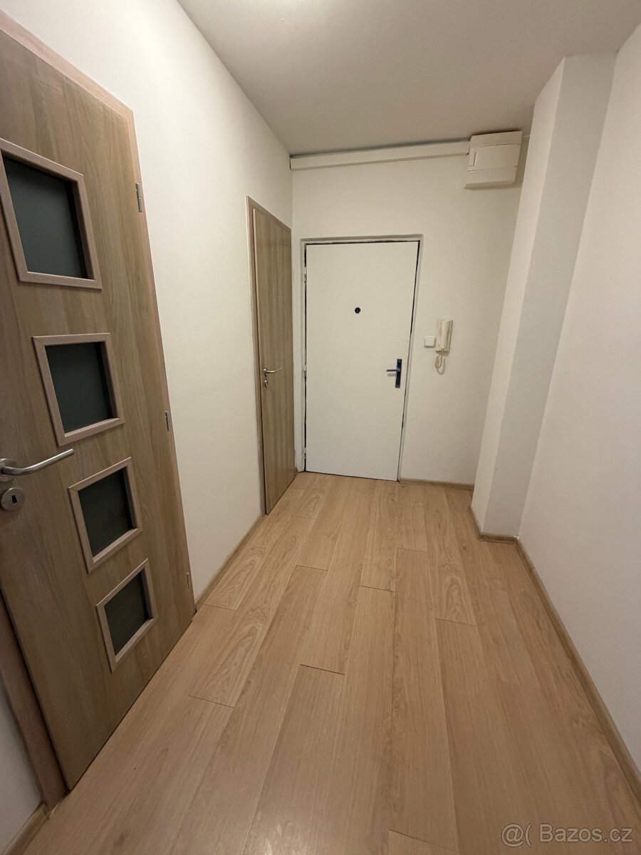 Pronajem bytu 2kk+Lodžie - 3