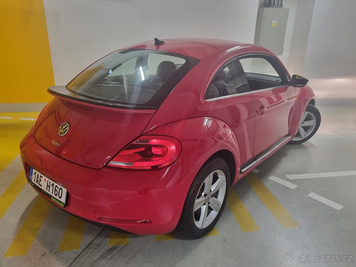 New beetle - 3
