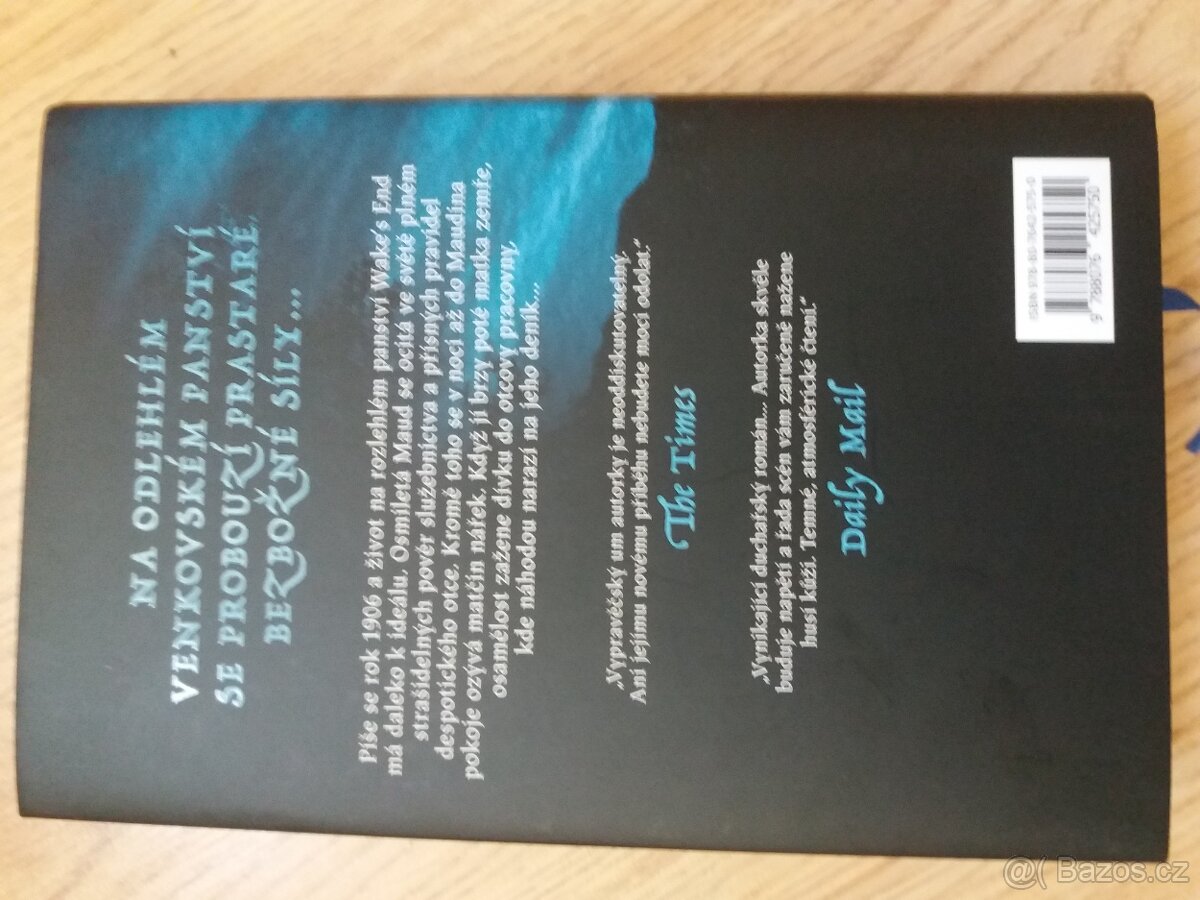 Děs sídla Wake's End - horor - 3