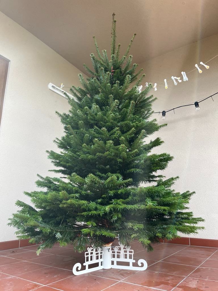 Stojan na stromeček - 3