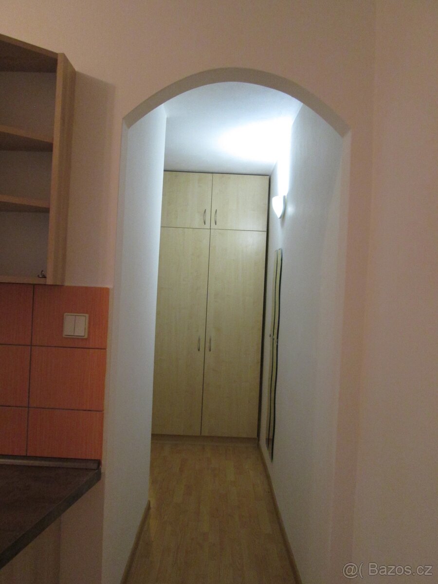 2+1 s lodžií v Uh. Brodě, bez RK - bez provize - 3