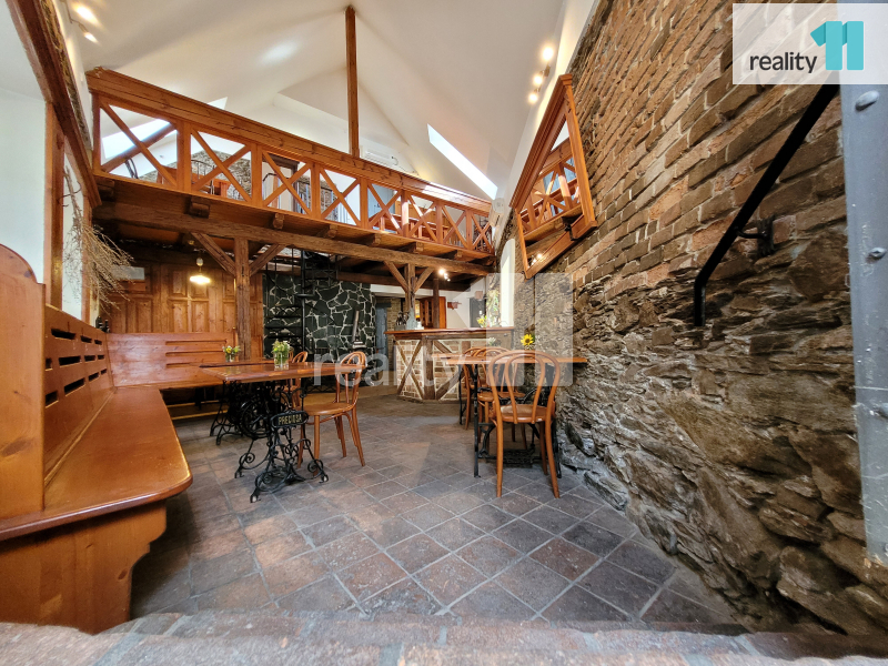 Pronájem restaurace, 100 m², Kolín, ul. Havelcova - 3