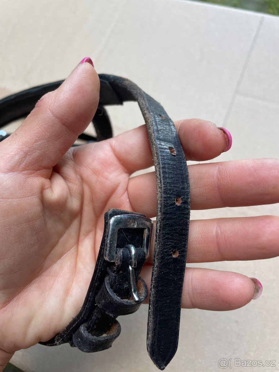 Černý anglicky nánosník Cob - 3