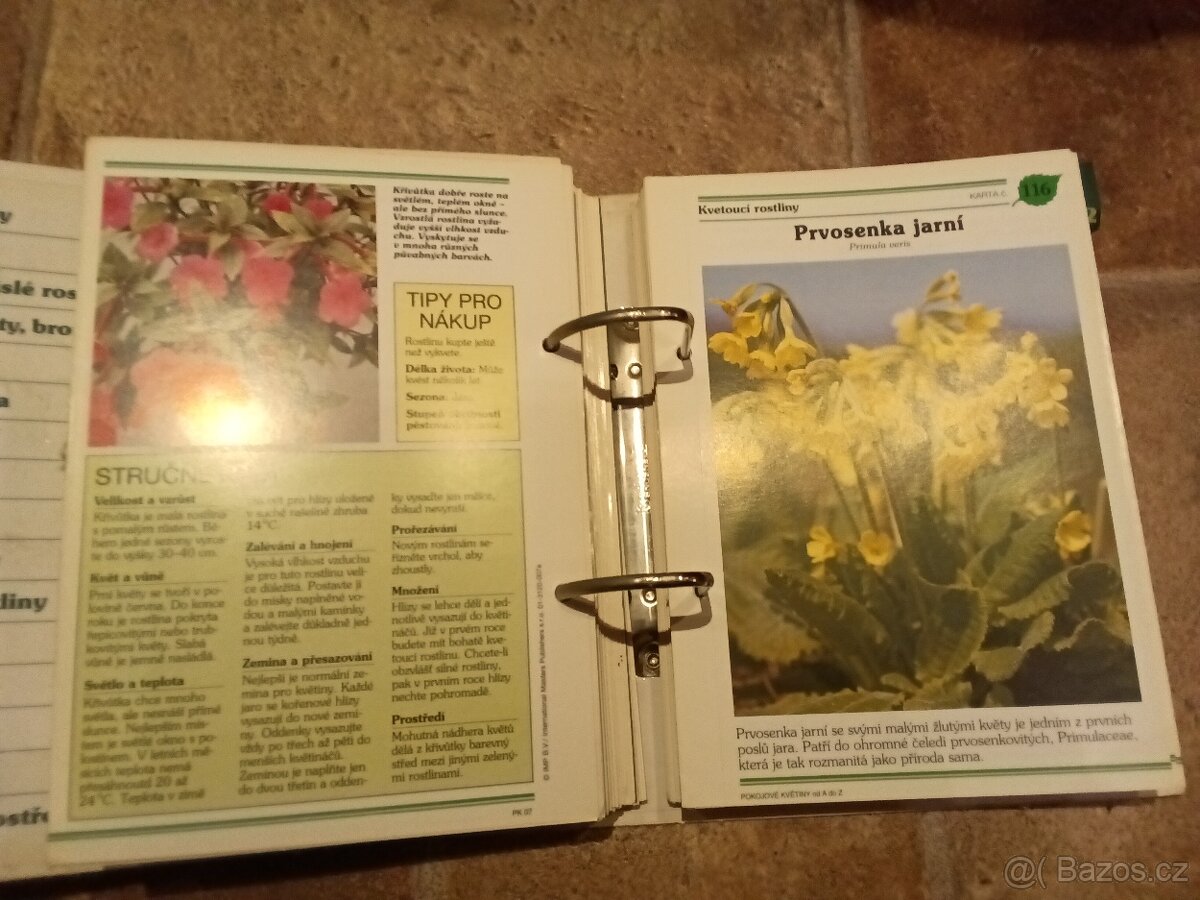 5 Set Pokojove kvetiny od A do Z rostliny Encyklopedie - 3