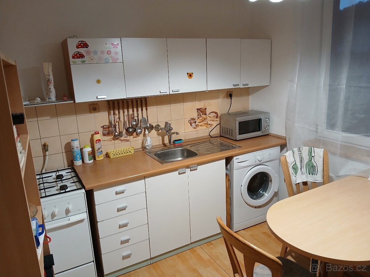 Pronájem 1+1 Brno - 3