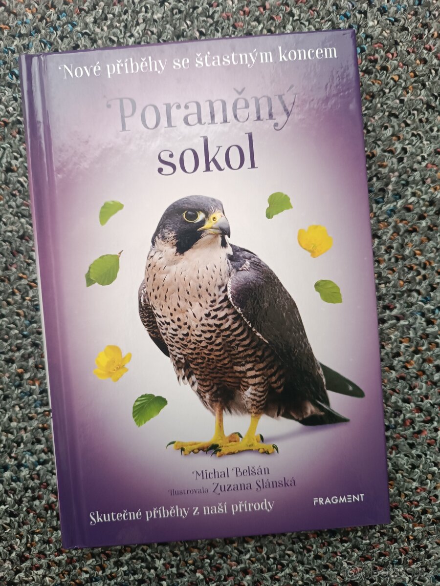 Zvědavá lištička, Poraněný sokol, Michal Belšán - 3