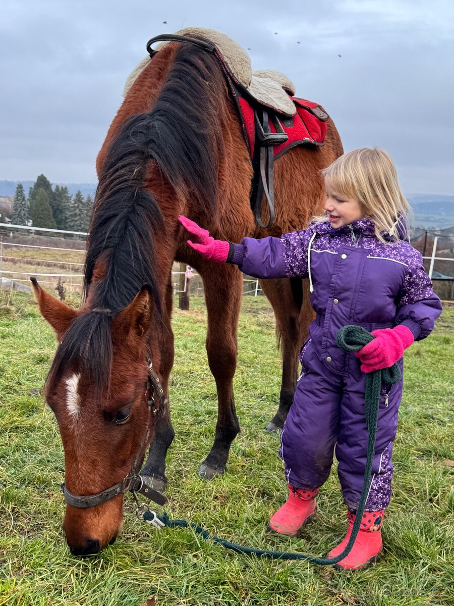 Hodný hřebeček - 3