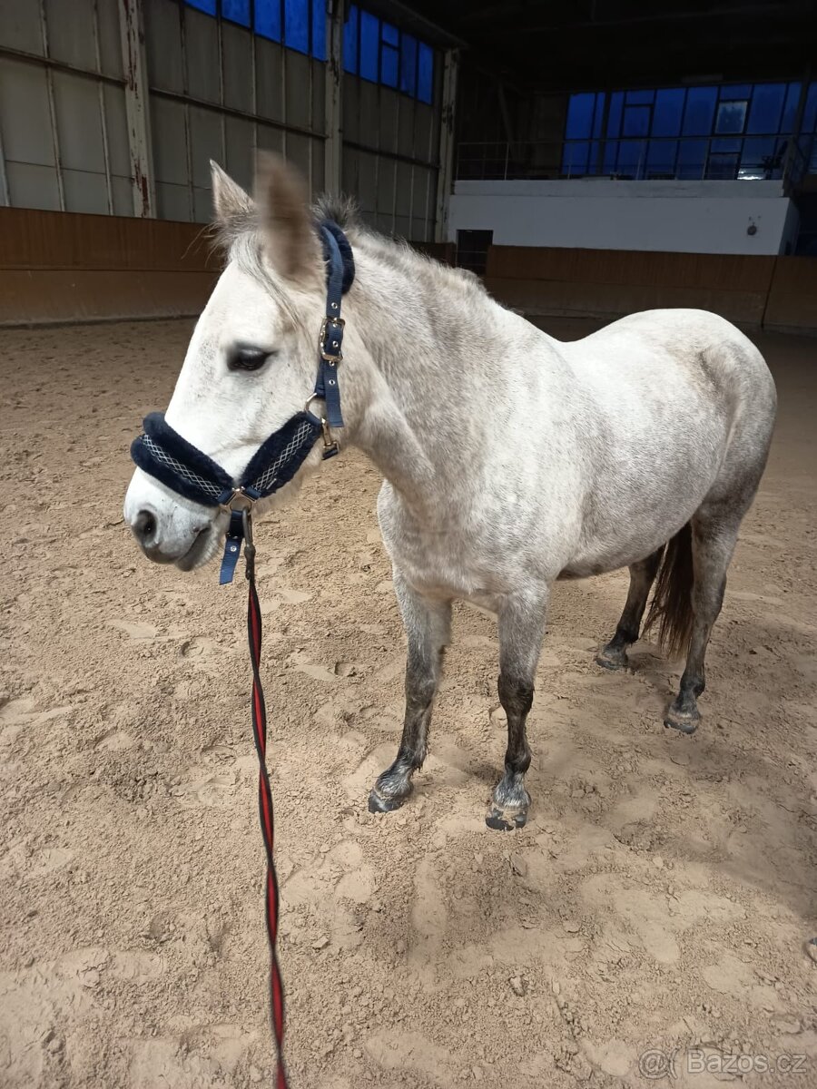 Pony B do sportu - 3