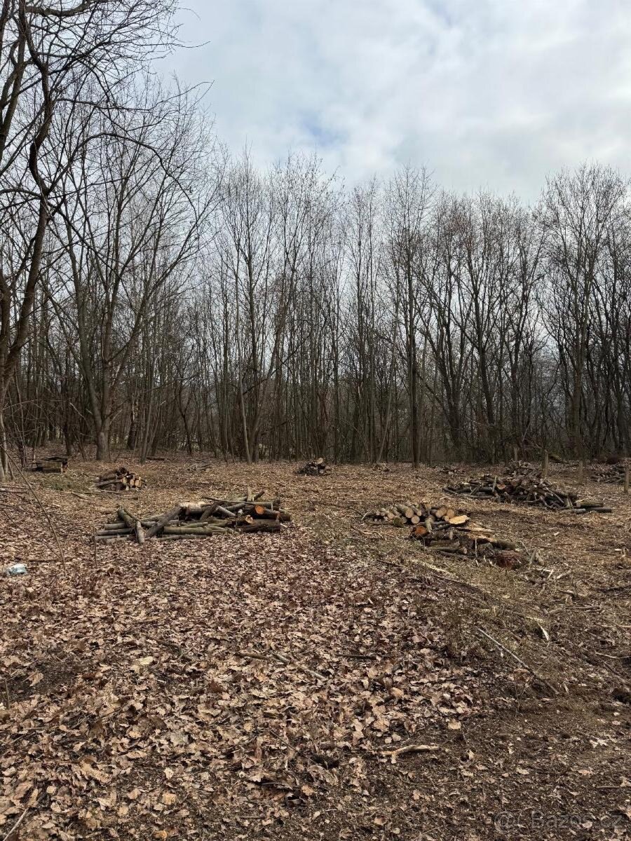 Prodám stavební pozemek v k.ú. Zlín, okres Zlín - 3