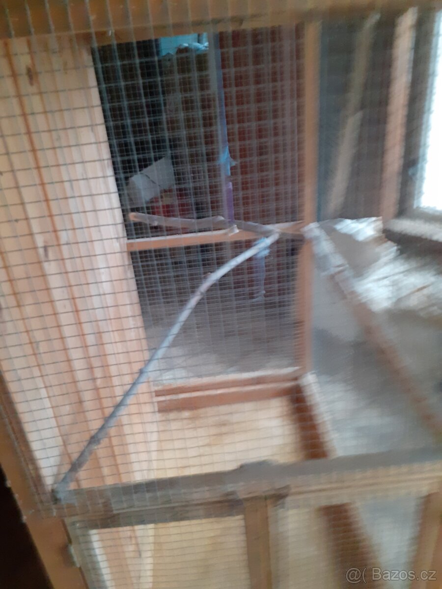 Velká voliera pro papoušky, malá klec - 3