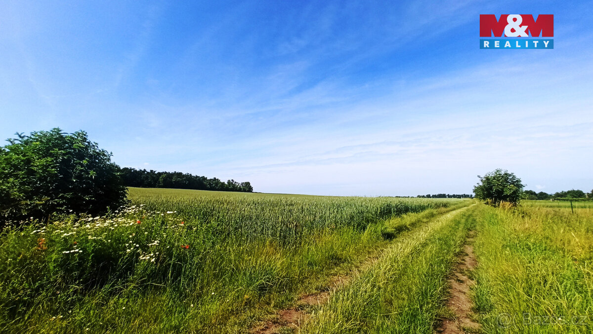 Prodej pole, 31465 m², Měnín - 3