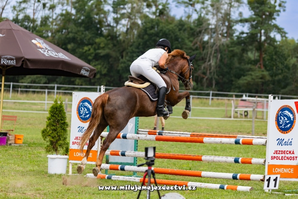 Prodej pony klisny - 3