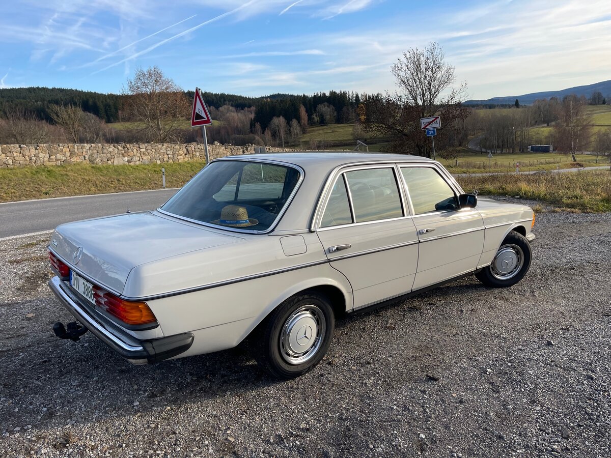 Mercedes benz w123 250 - 3