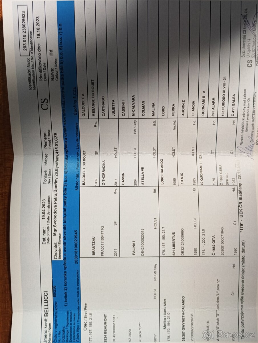 Valach CS 2 roky - 3