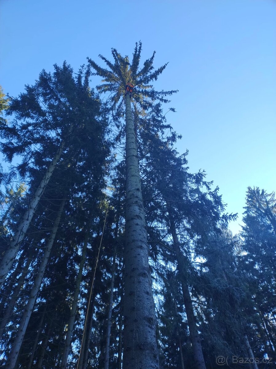 Rizikové kácení - 3