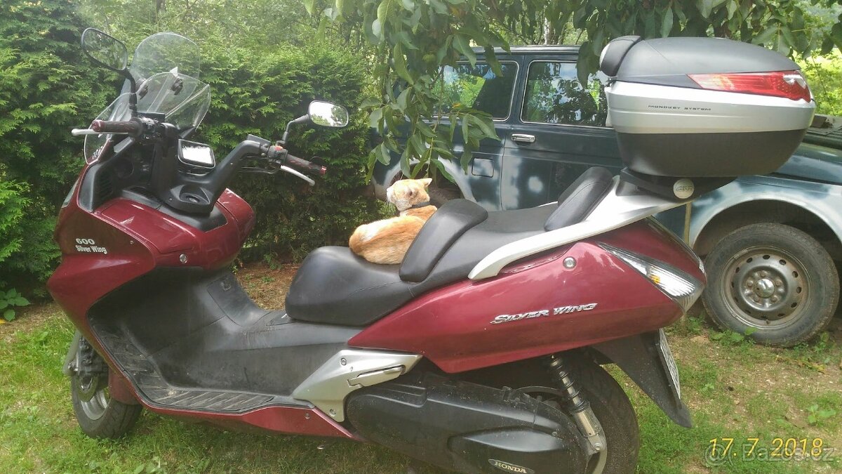 Silverwing FJS600 - 3