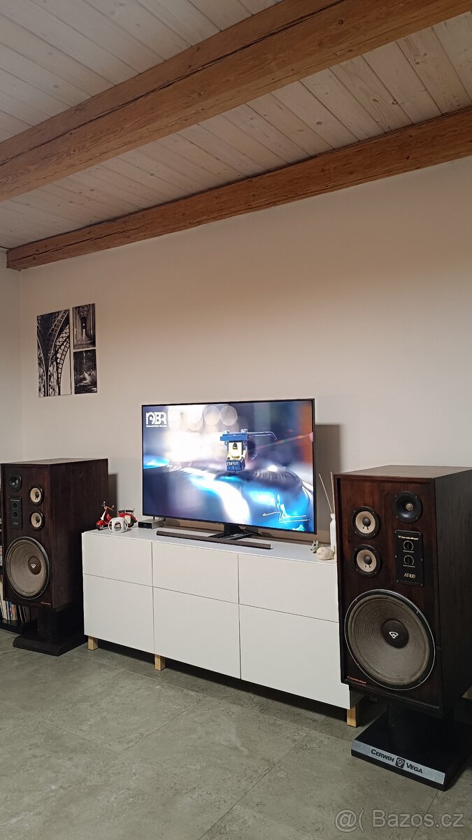 Cerwin Vega AT 100 - 3