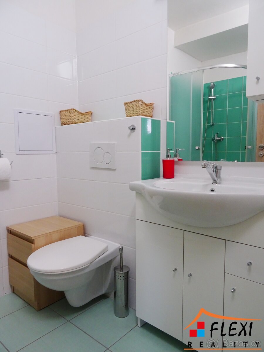 Pronájem částečně zařízeného bytu 1+1 s lodžií, 48m², Moravs - 3