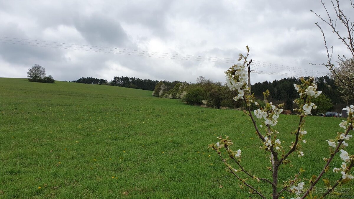 Podíl na 11 ha louky Moravská Chrastová, Svitavy - 3