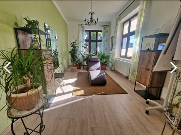 Luxusní historická vila + 11garáží + rybník + 4000m2 zahrada - 3