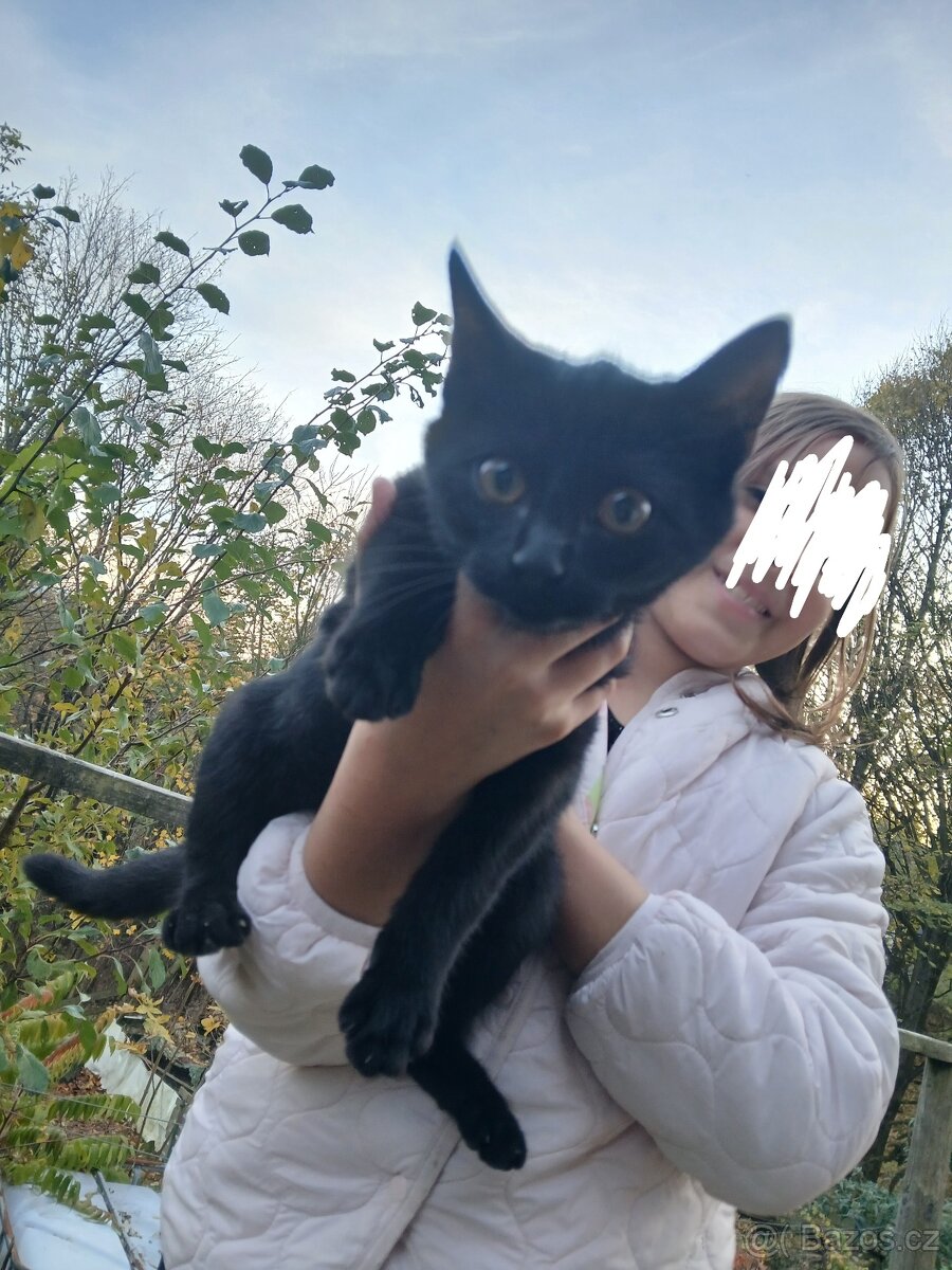 Daruji 3 "mušketýry" - 3