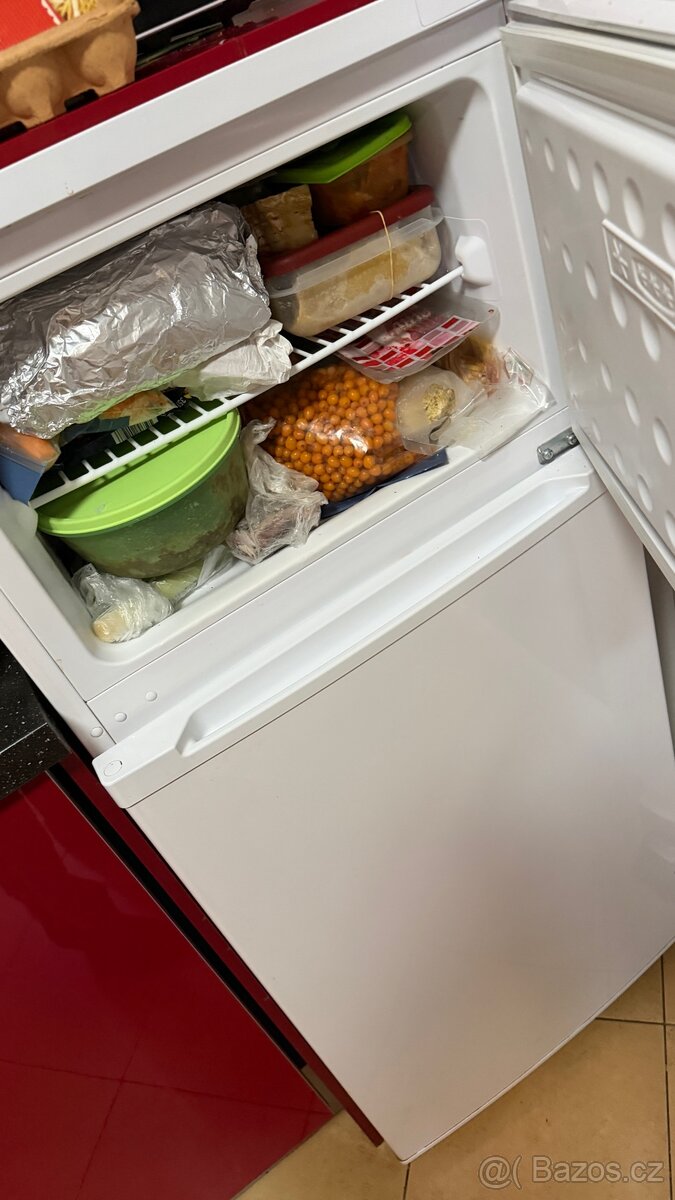 Lednice Beko s mrazákem 123cm - 3