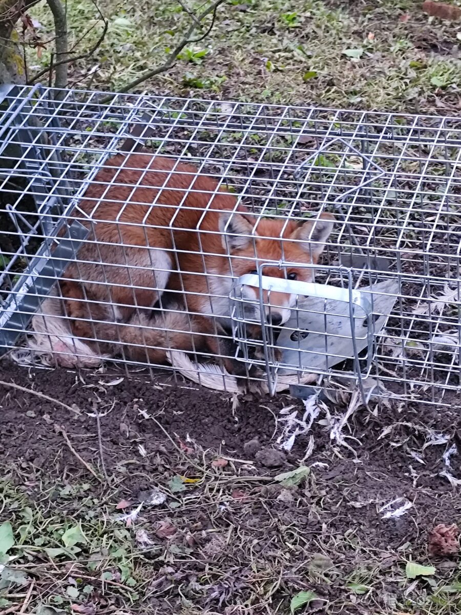 Past, sklopec na škodnou - 3