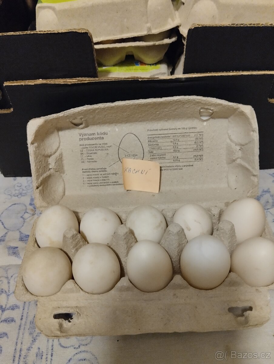 Domácí vejce - 3