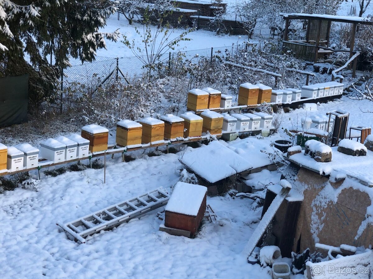 Včelí oddělky 2026 Východní Čechy - 3