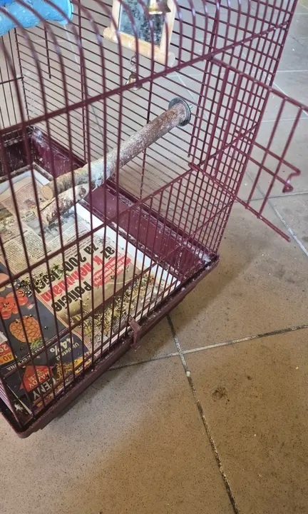 Klec na papouška - 3