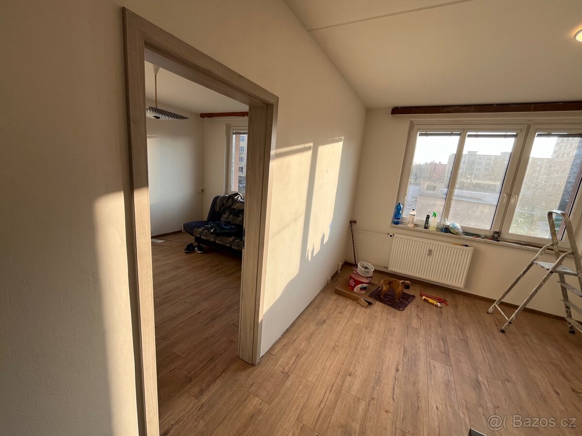 Pronajmu byt 35 - 3