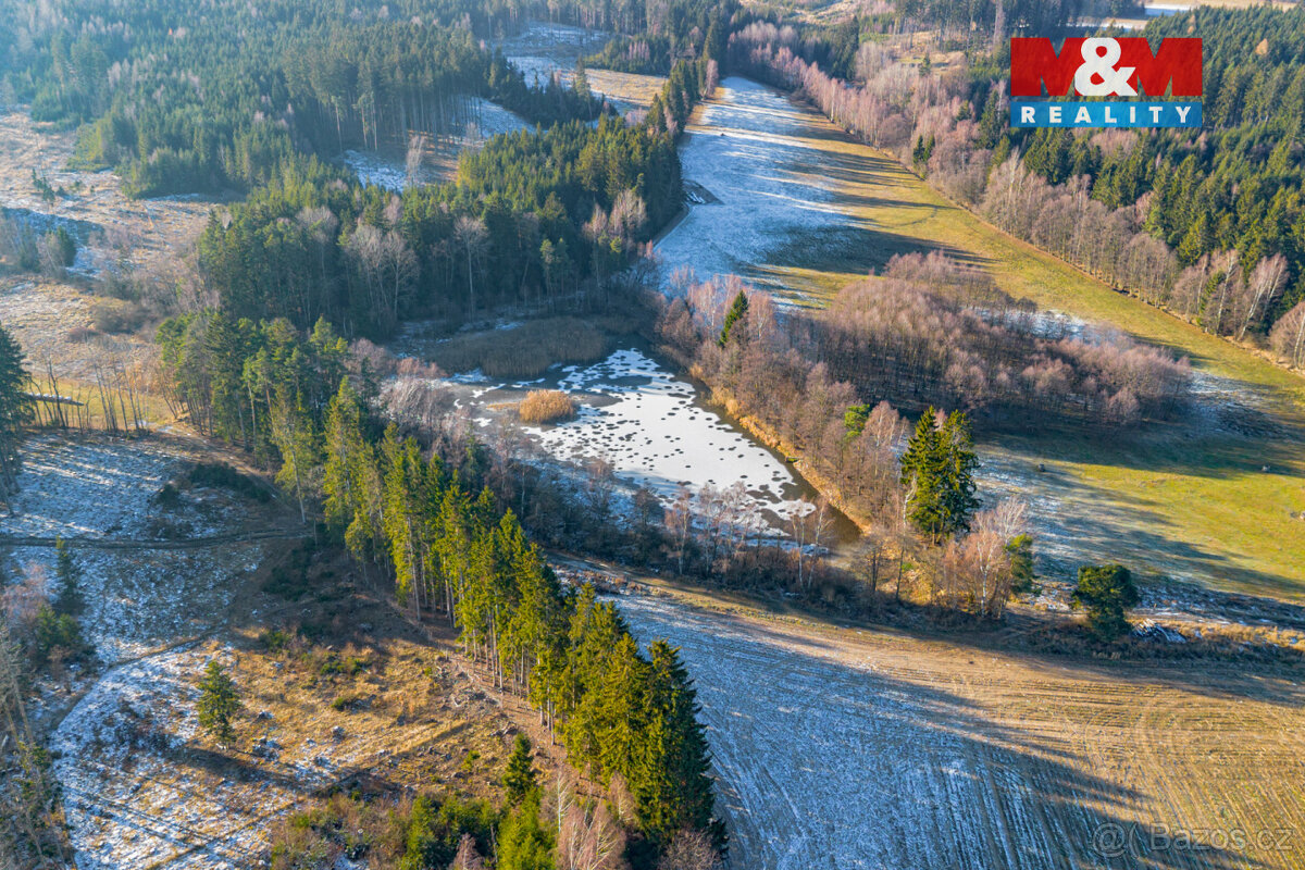 Prodej vodní plochy, 21990 m², Horní Ves - 3