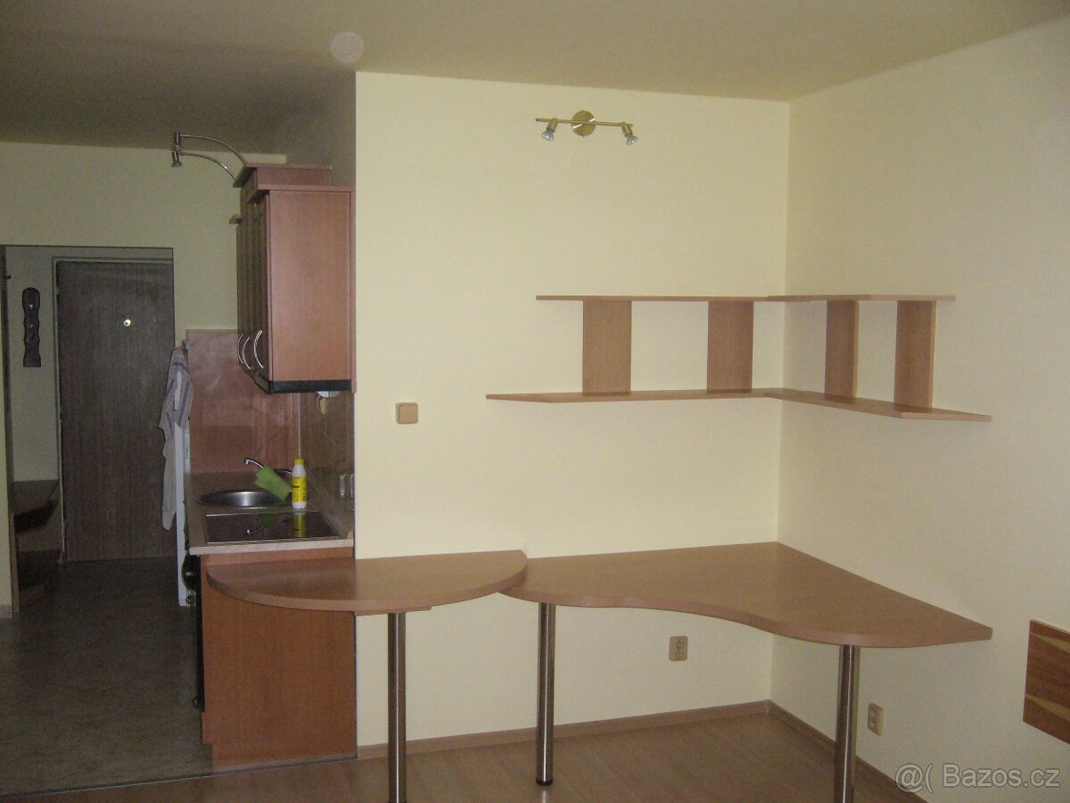 Pronájem bytu 1+kk - Močidla 2160 - 3