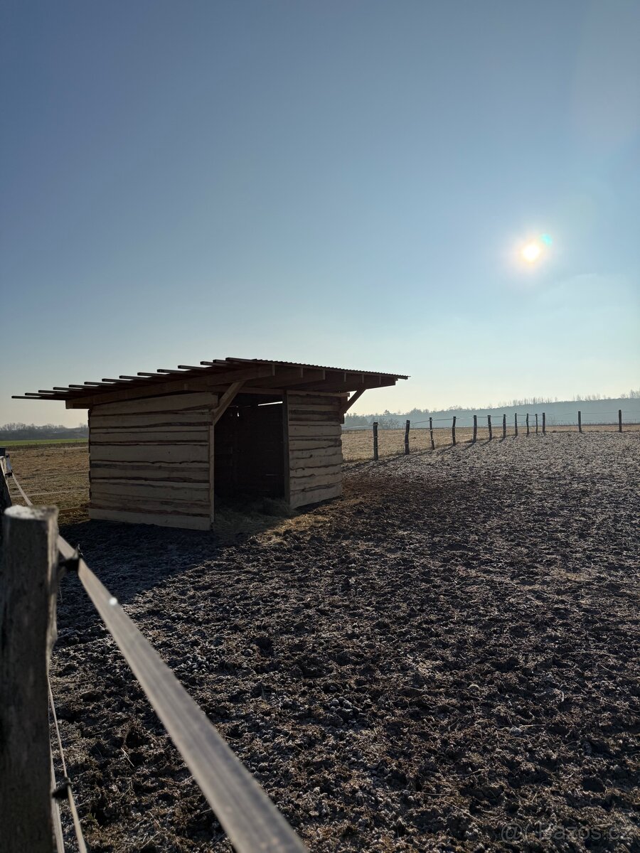 Ustájení 24/7 pro hříbě - 3