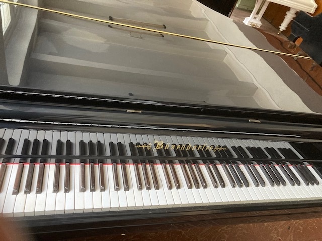 Křídlo Bösendorfer - 3