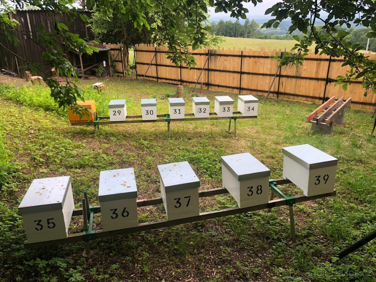 Včelí matky 2026 - Východní Čechy - 3
