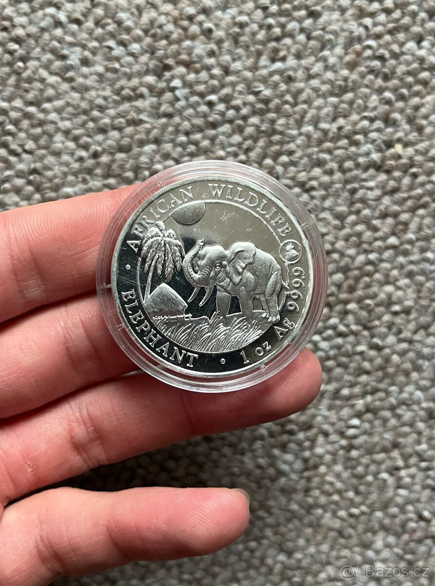 12x Stříbrné investiční mince AFRICAN WILDLIFE 1 oz - 3