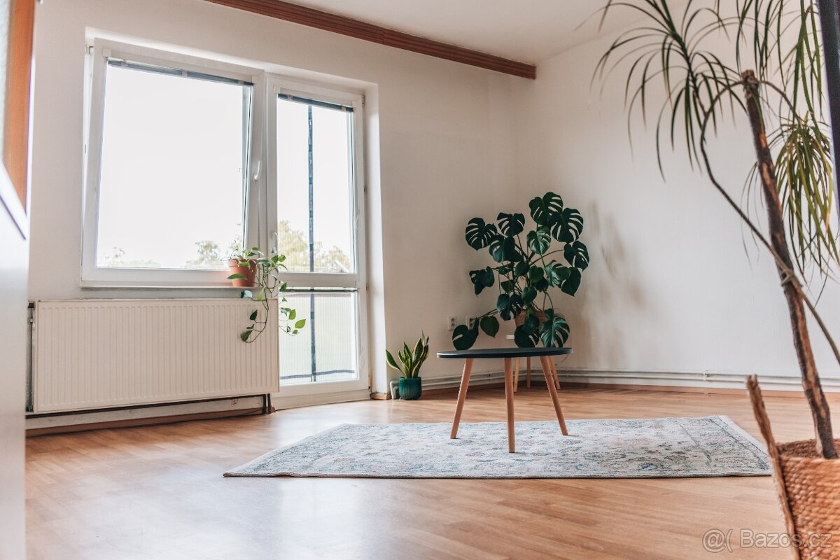 Prodej bytu v Bučovicích - 3