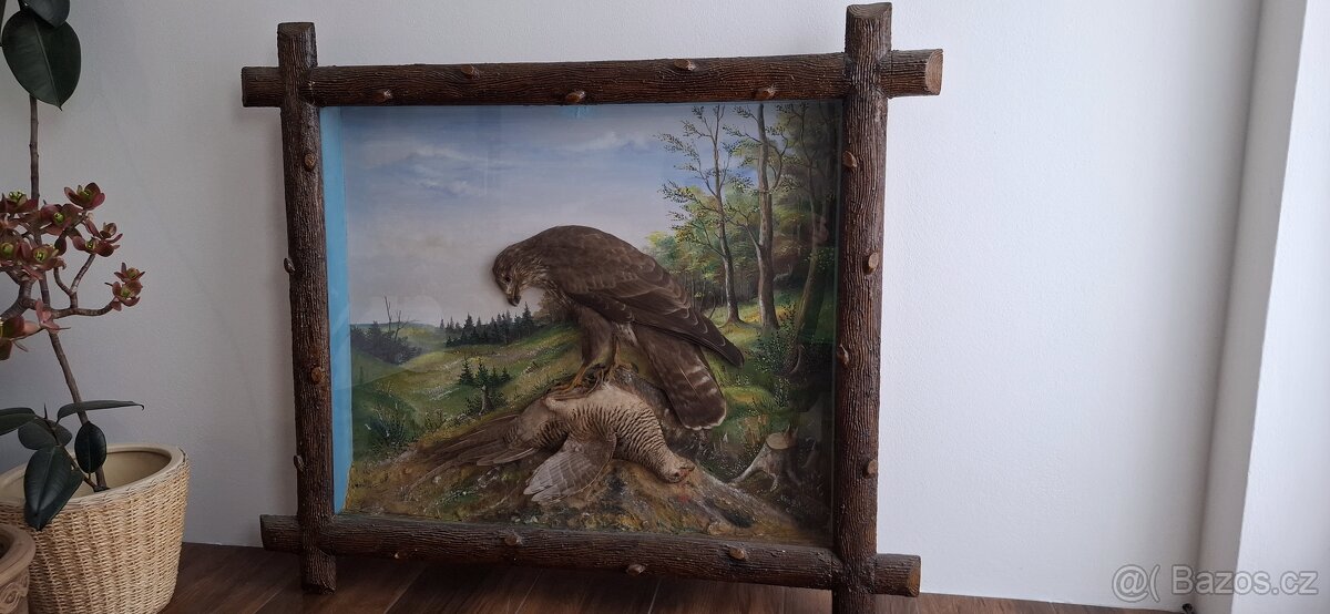 Půlvycpávky v obrazech - 3