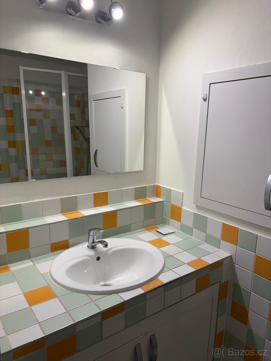 Pronájem bytu 3+1 - 3