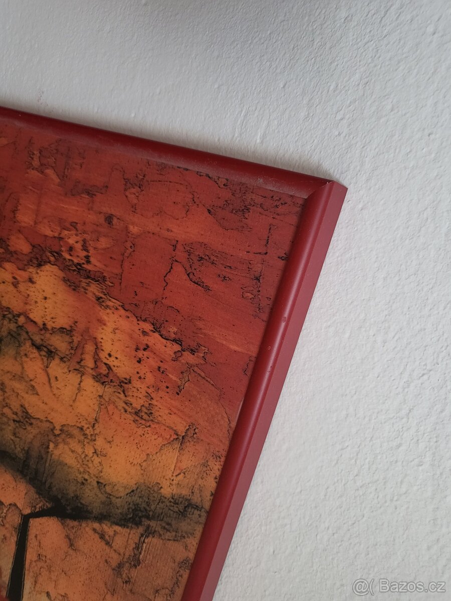 Obraz "Afrika", 70x70 - 3