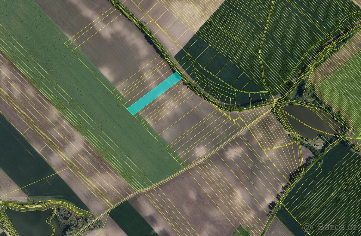 Prodej pole s velmi dobrou bonitou – 1 ha – Nikolčice - 3