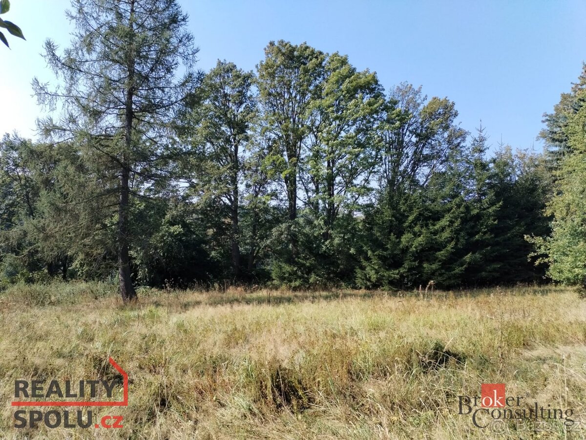 Prodej, pozemky/zahrada, 2433 m2, Orasín 35, 43121 Boleboř, - 3