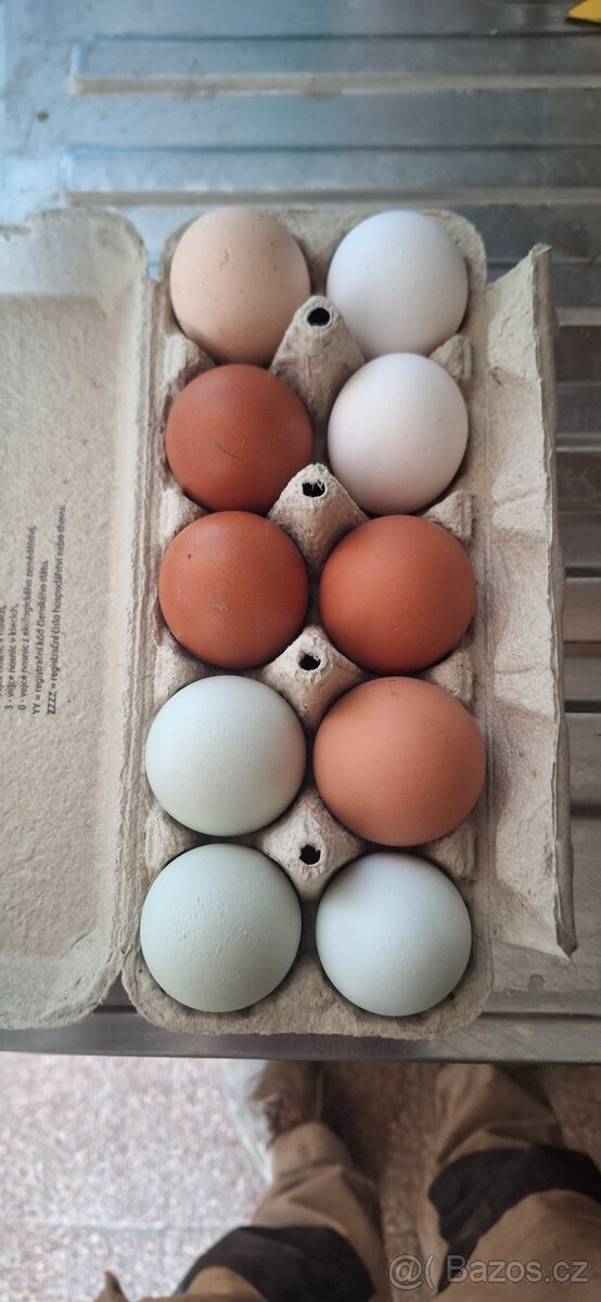 Prodám domácí vajíčka - 3